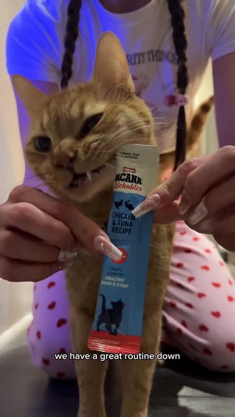 Instagram post by @peachandpumpky for ACANA Petfoods. Caption reads: #AD peach and I have a routine down that makes his....
