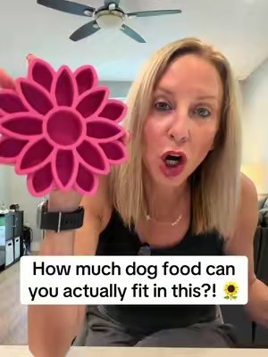 TikTok post by @dynamitedogtraining for Freezbone. Caption reads: [...] food can you actually fit in this?! 🌻....