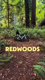 Instagram post by @vcadventuretime for Tifosi Optics. Caption reads: 🇨🇦CANADA TO MEXICO🇲🇽 : DAY 4 | REDWOODS....