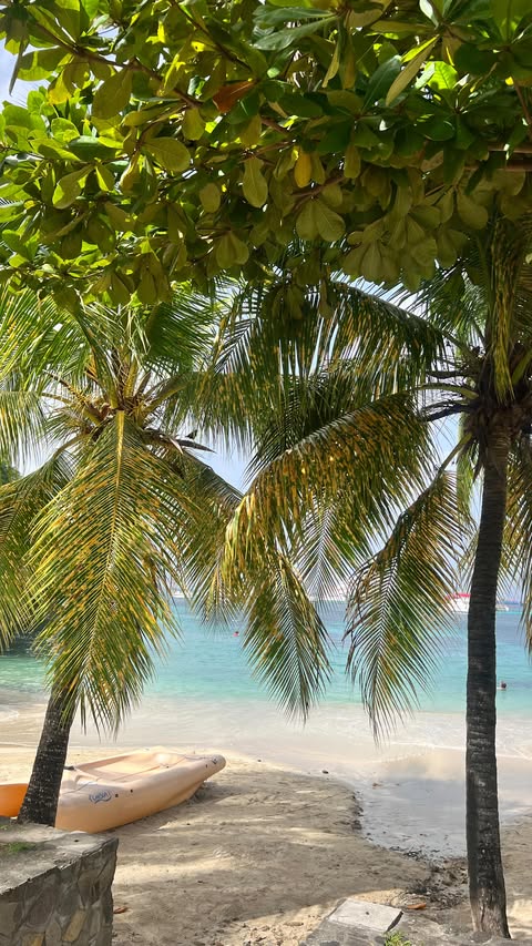 Instagram post by @rileyarmitage for Chemist Warehouse. Caption reads: [...] xxx
Psa. 40% off rrp right now....