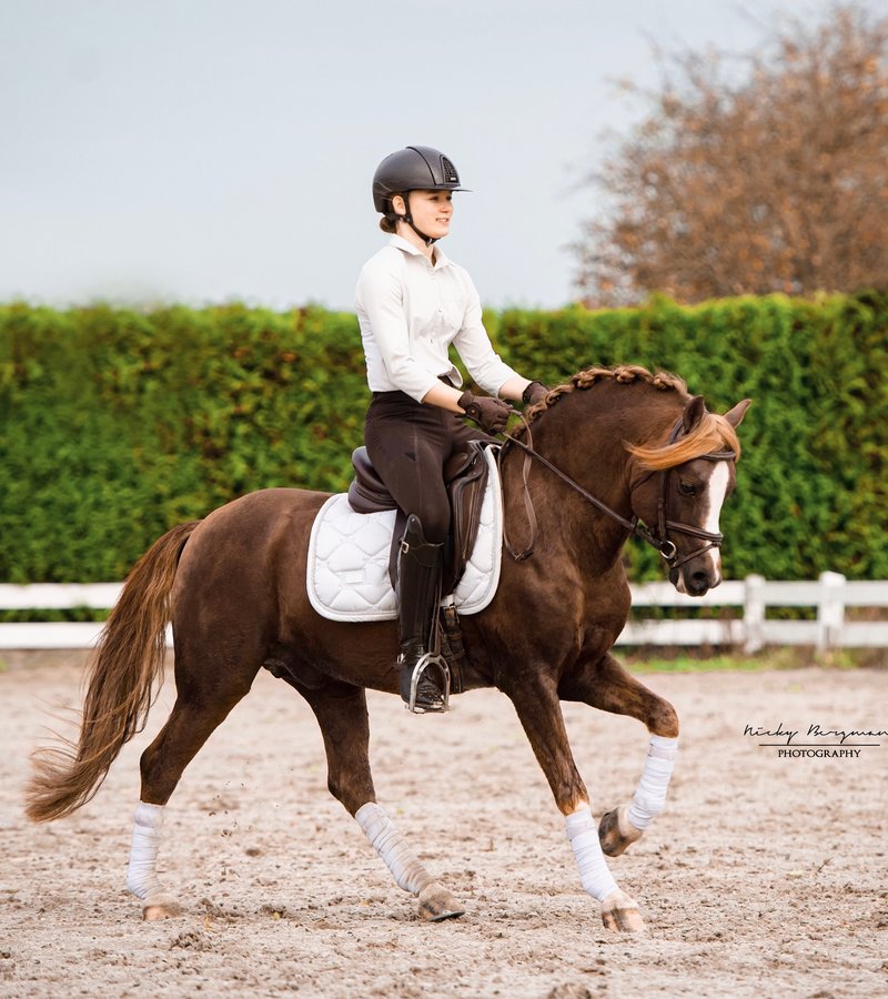 Instagram post by @anaissuperponys for EQUESTRIAN STOCKHOLM. Caption reads: [...] 🥰 Little tip from me to you: Equestrian....