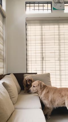 Instagram post by @ellechavezz for ShopBack. Caption reads: [...] More deals + massive cashback from....