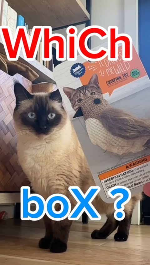 Instagram post by @mervthepet for PetSmart. Caption reads: [...] COMMENT YOUR GUESSES FAST! #ad #PetSmart....