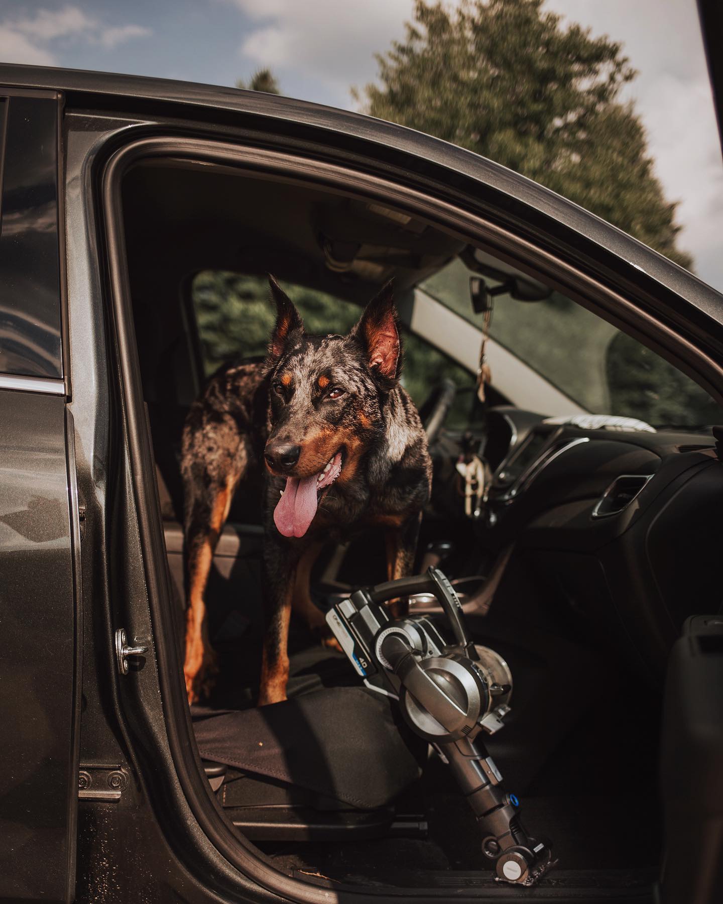 Instagram post by @dukeandquila for Hoover Vacuums. Caption reads: #sponsored Anyone else's car disgusting all the....
