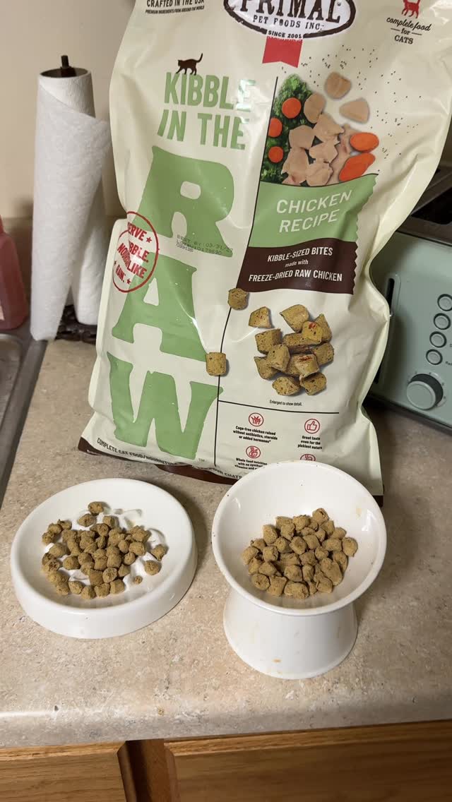 Instagram post by @allymccarthy5757 for Primal Pet Foods. Caption reads: Lunch time with the kitties and @primalpetfoods....