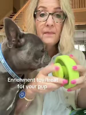 TikTok post by @bruno.my.frenchie for Benebone. Caption reads: [...]....