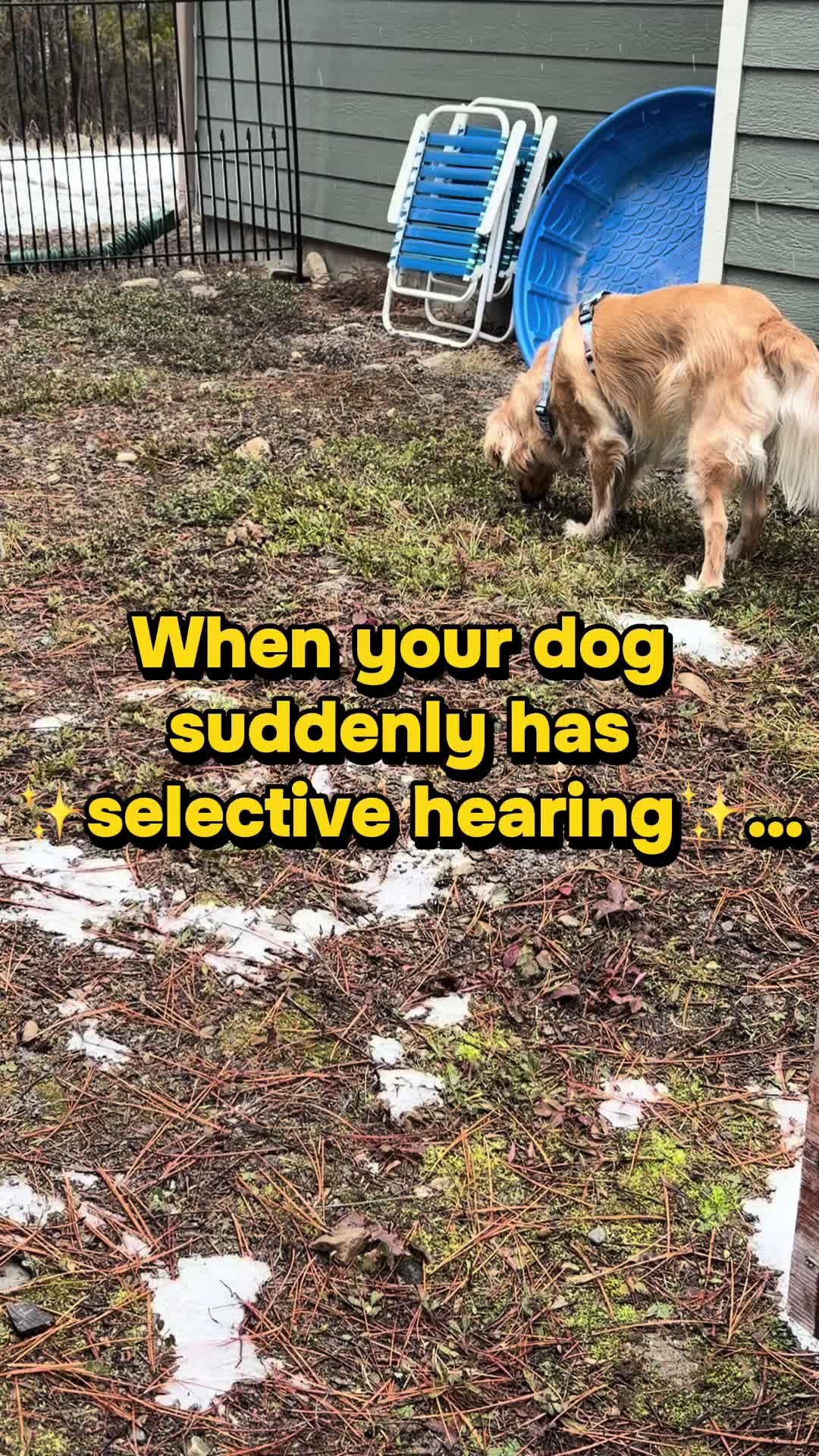 TikTok post by @doseofdakota for Jugbow. Caption reads: [...] #RecallTraining #TikTokShop #GoodGirl....