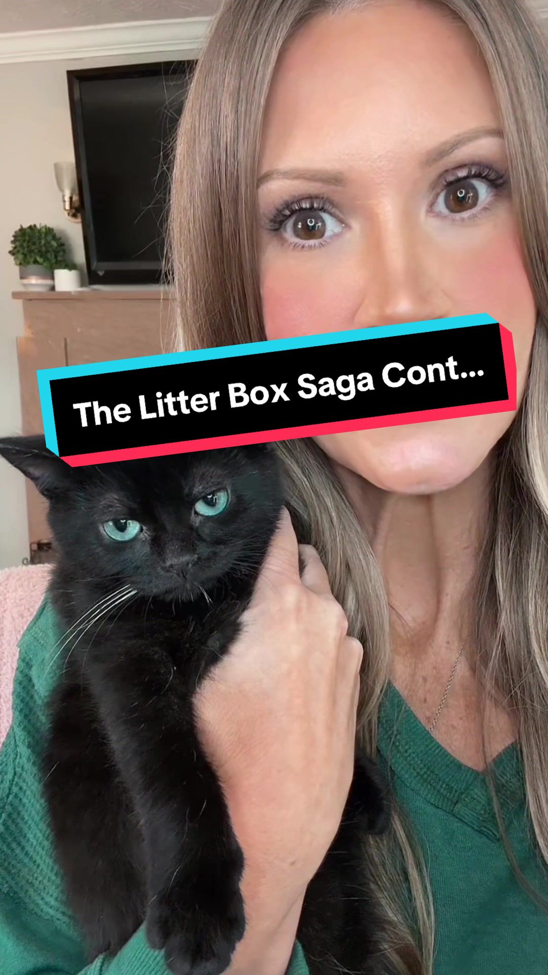 TikTok post by @tiredasamother for Tuftandpaw. Caption reads: If you have a cat with sensory issues, because i....