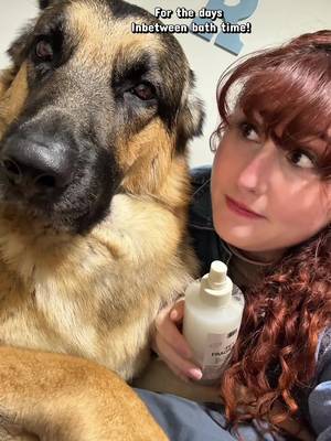 TikTok post by @candijessie for DedCool. Caption reads: [...] #petspray #giftsforpetlover @dedcool.