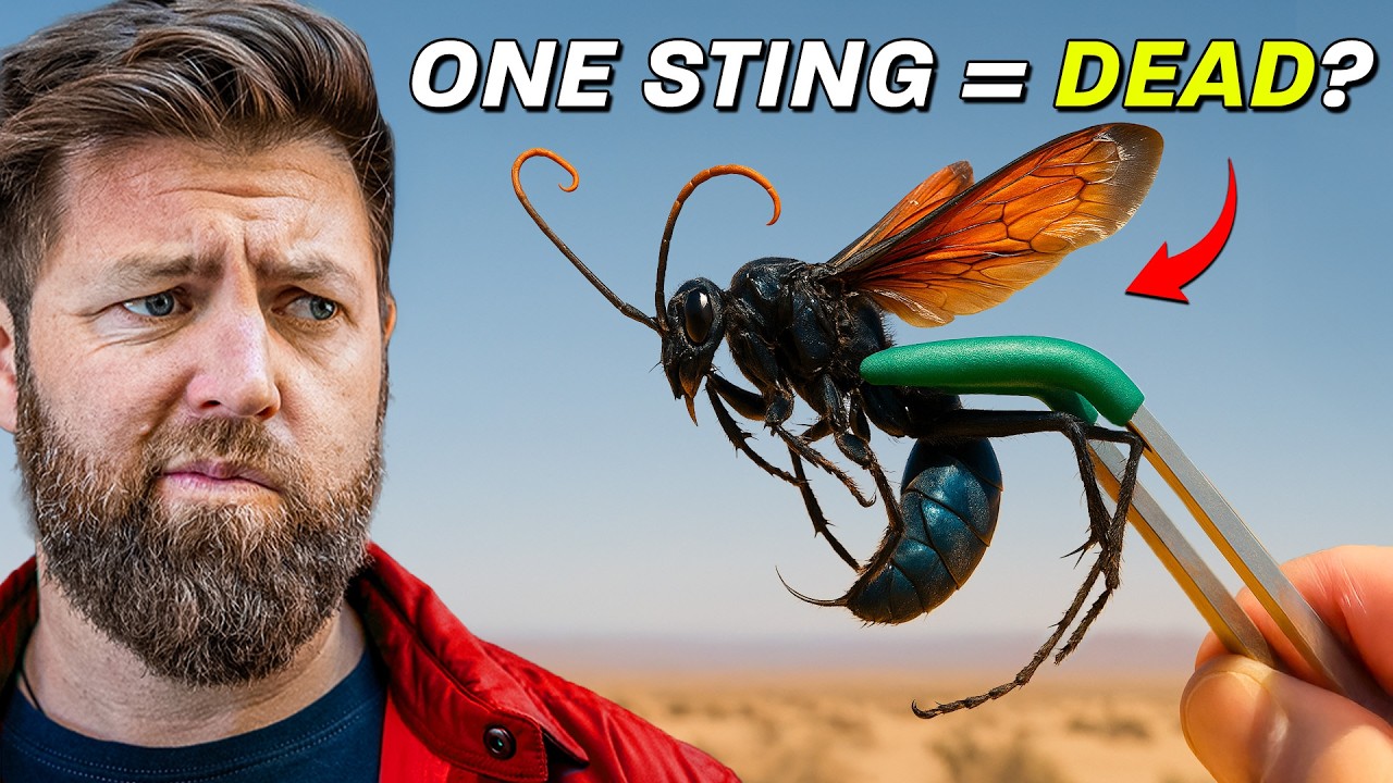 YouTube post by @ForrestGalante for Leatherman. Caption reads: 5 Animals You Don't Want To Run Into In The Wild.