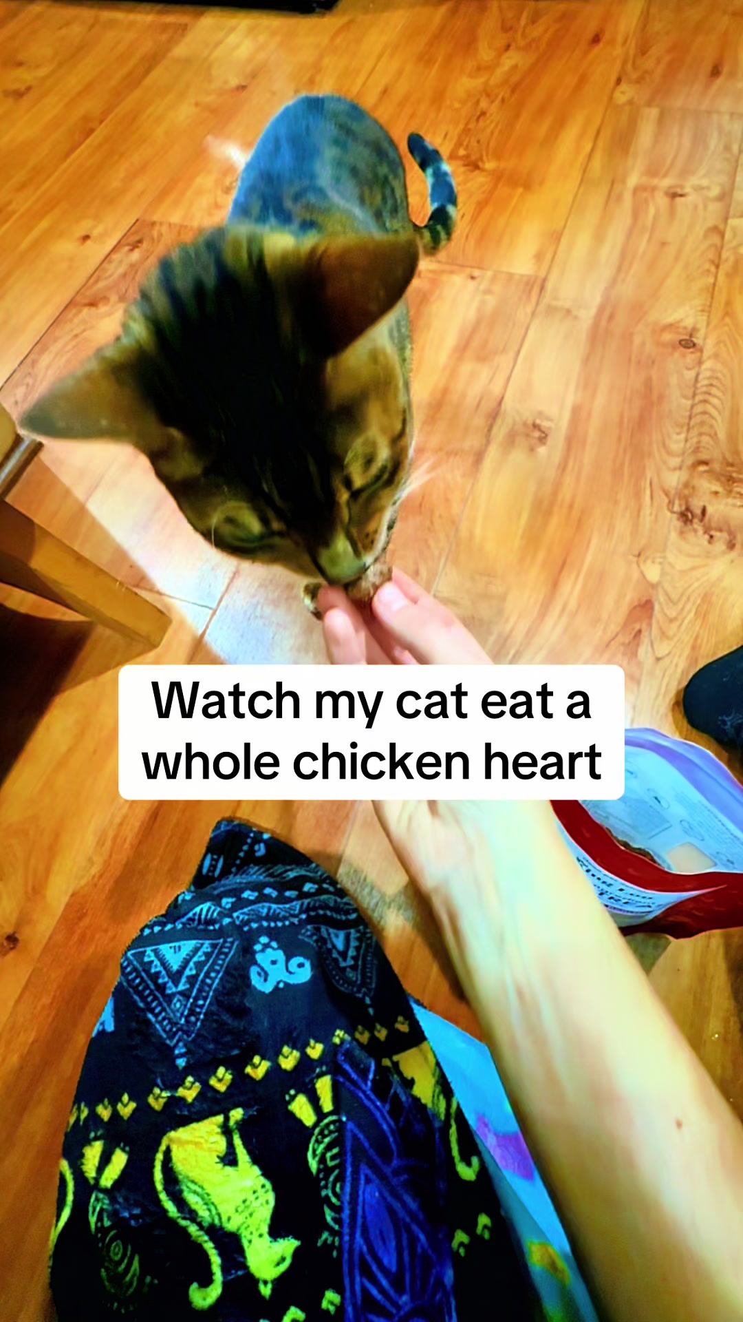TikTok post by @cleathebengal for King Lou. Caption reads: King Lou’s whole chicken hearts are on sale right....