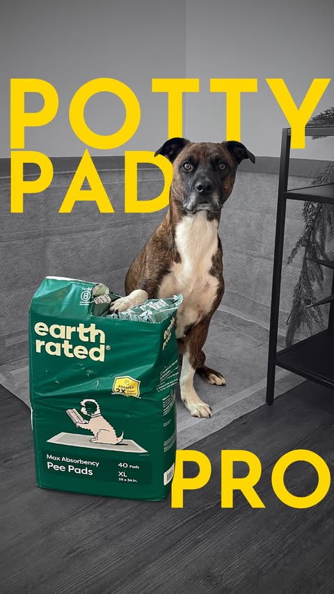 Instagram post by @thepainfreepettrainer for Earth Rated. Caption reads: [...] easy, and satisfying- just like these....