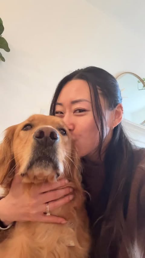 Instagram post by @ayce.and.aria for Instinct Pet Food. Caption reads: We tried out @instinctpetfood FreshRaw Meals and....