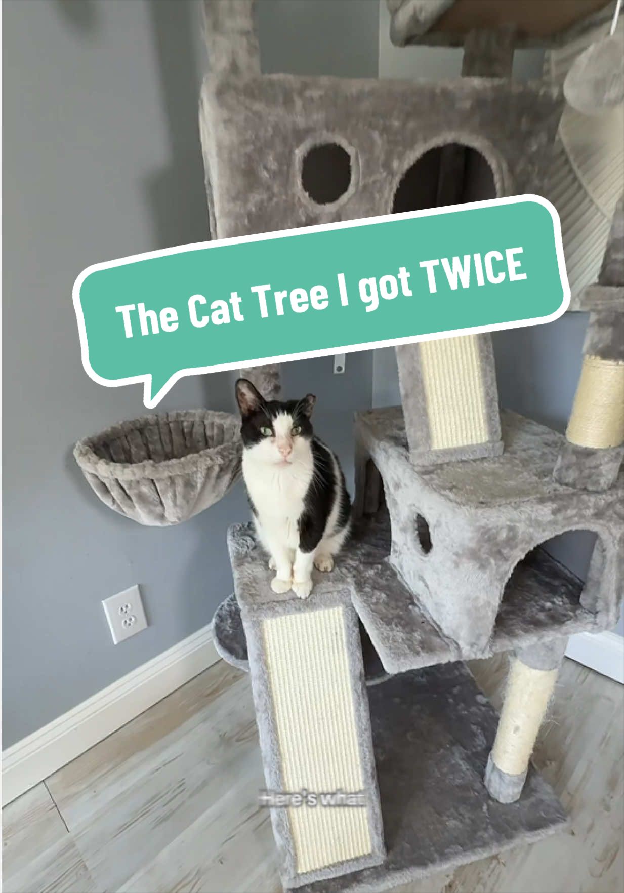TikTok post by an influencer for Hoomic. Caption reads: [...] #petsproduct @HOOMIC #cattree.