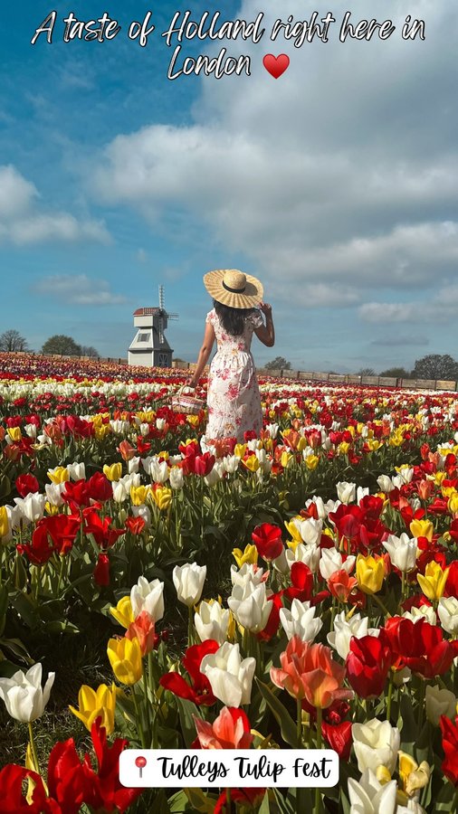 Instagram post by @wander_aniwhere for VISIT LONDON. Caption reads: A taste of Holland right here in London- less than....