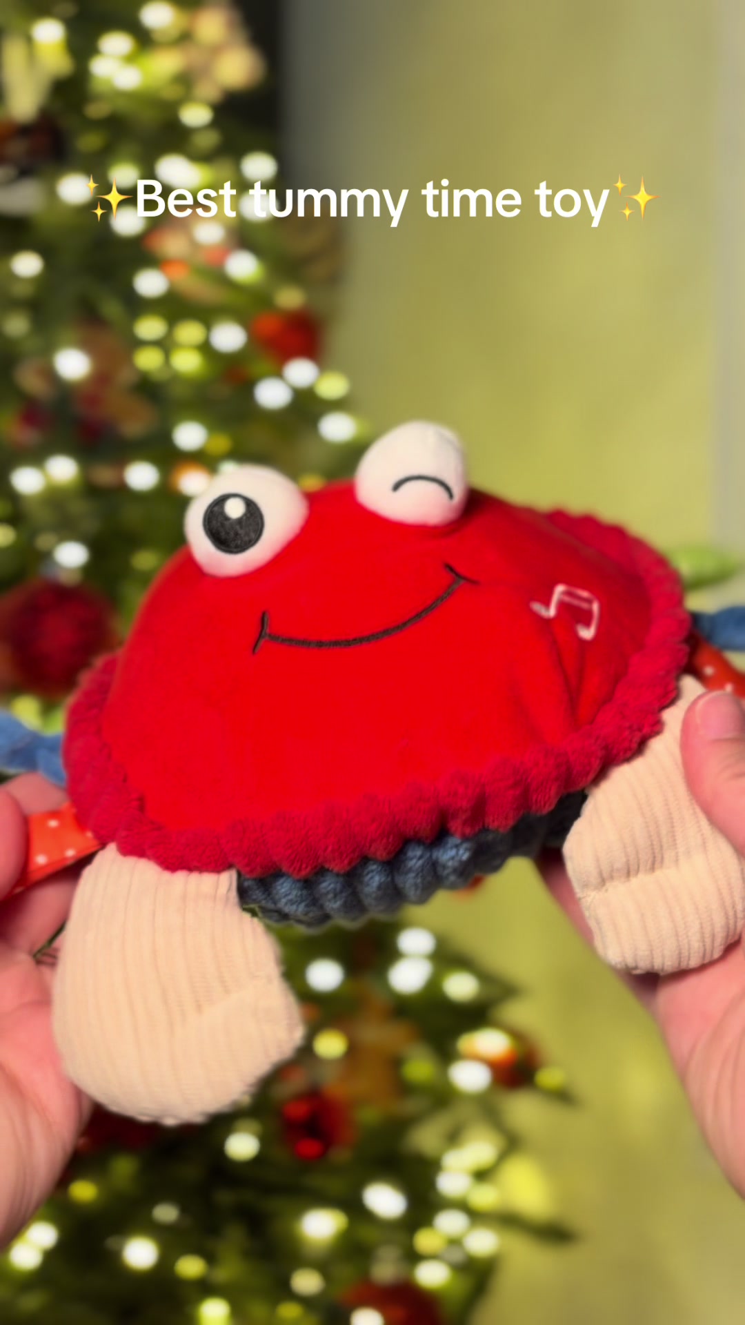 TikTok post by @tina.anne96 for Hahaland. Caption reads: [...] My toddler even loves this toy too!....