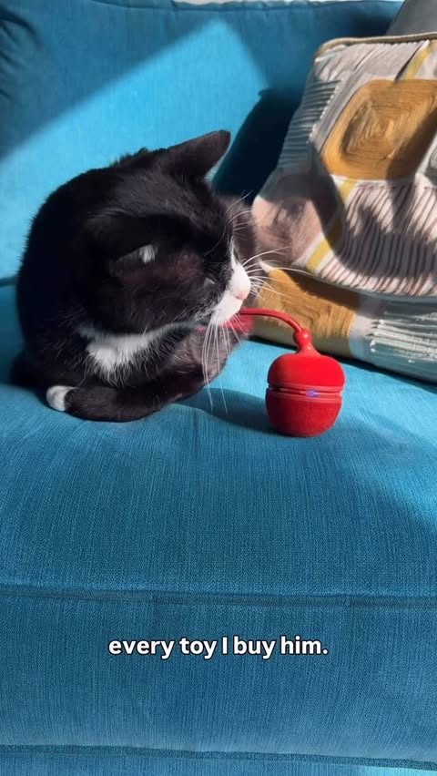 Instagram post by @sirarthurmeows for Cheerble. Caption reads: [...] — and most things do not. But the Cheerble....
