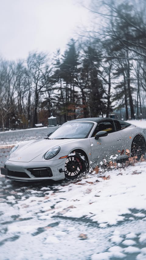 Instagram post by @thealbertc for Porsche. Caption reads: HIBERNATION DENIED! 🚫 
The moment that first....