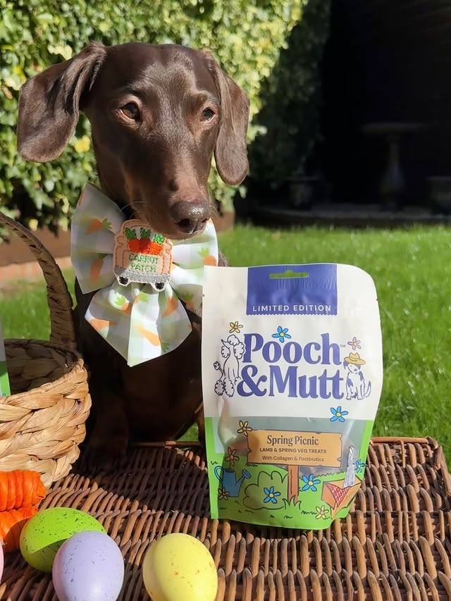 Instagram post by @frankie_dachshund03 for Pooch and Mutt. Caption reads: [...] & Spring Vegetable dog treats from....