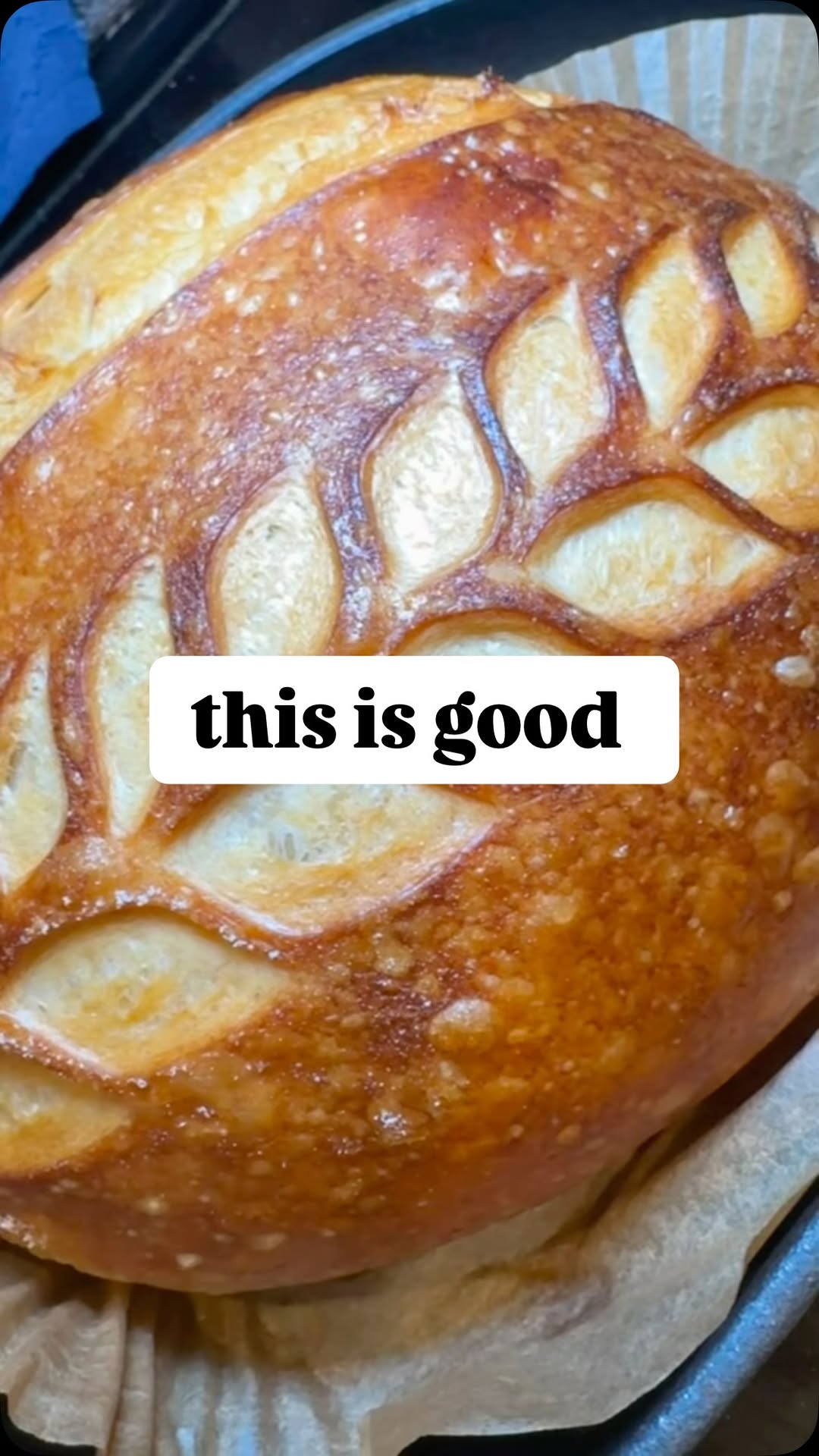 Instagram post by @lindsaysbread for Krustic. Caption reads: These bread ovens are magical I tell ya! They get....