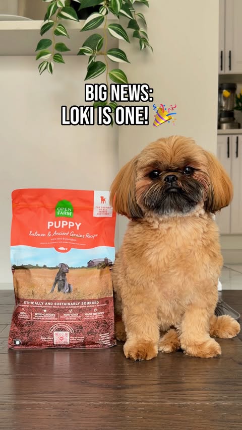 Instagram post by @listen2lena for Open Farm Pet. Caption reads: [...] can grab $25 off $100 with code LENA.....