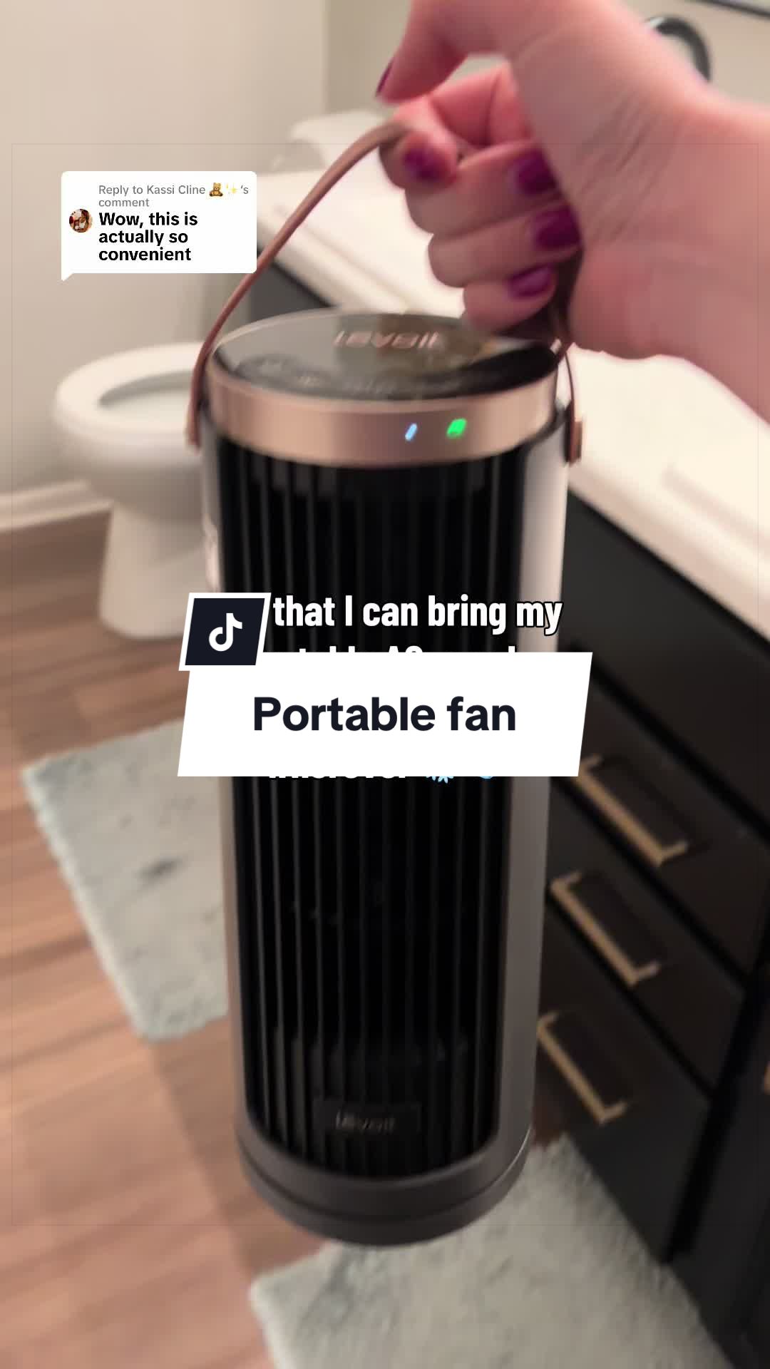TikTok post by @thedailywith_kaylee for Levoit. Caption reads: [...] fan is a must during summer! @LEVOIT....