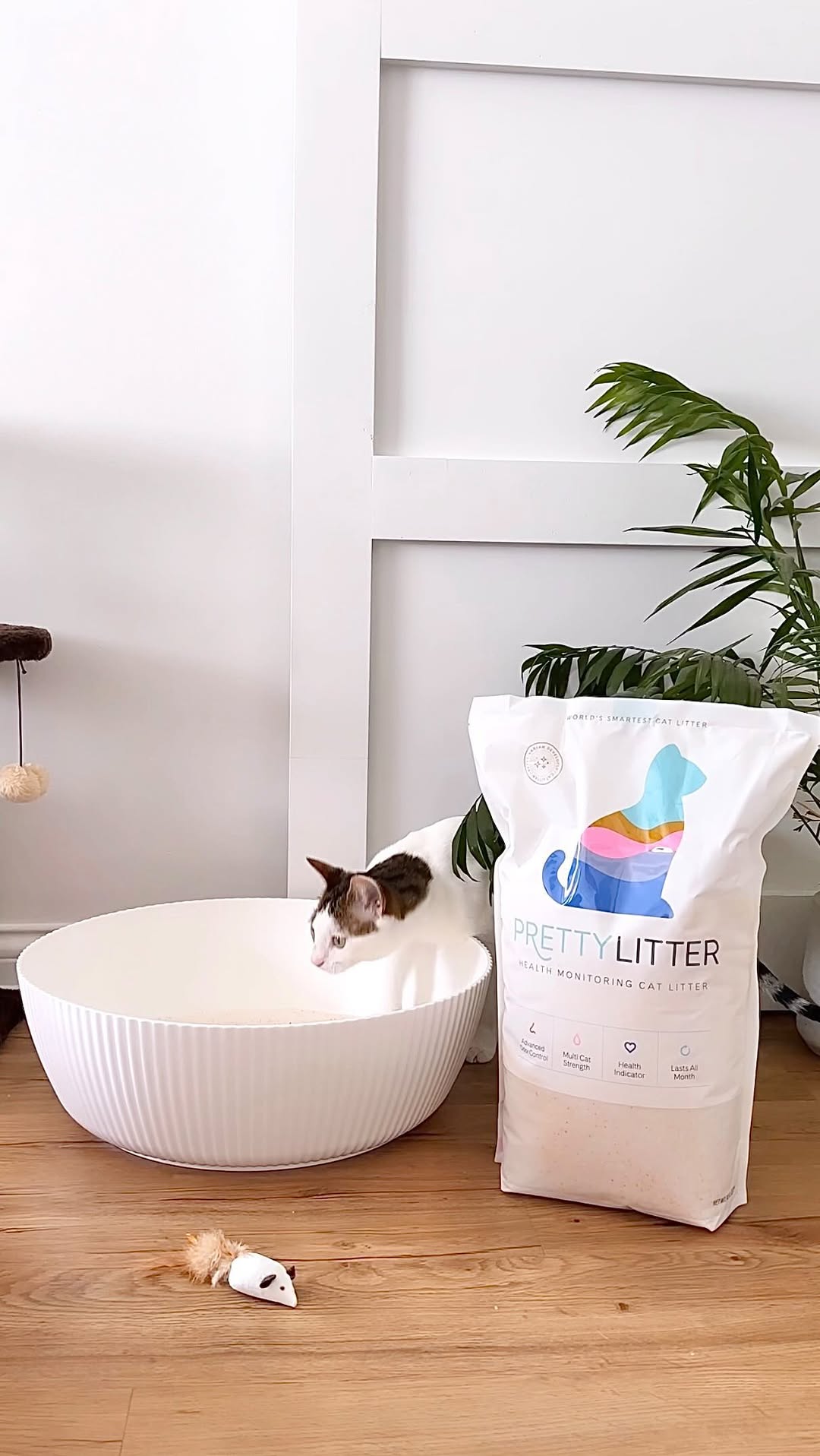 Instagram post by @charlieandcrewmama for Prettylitter. Caption reads: Our latest rescue Daisy has been nothing but a....