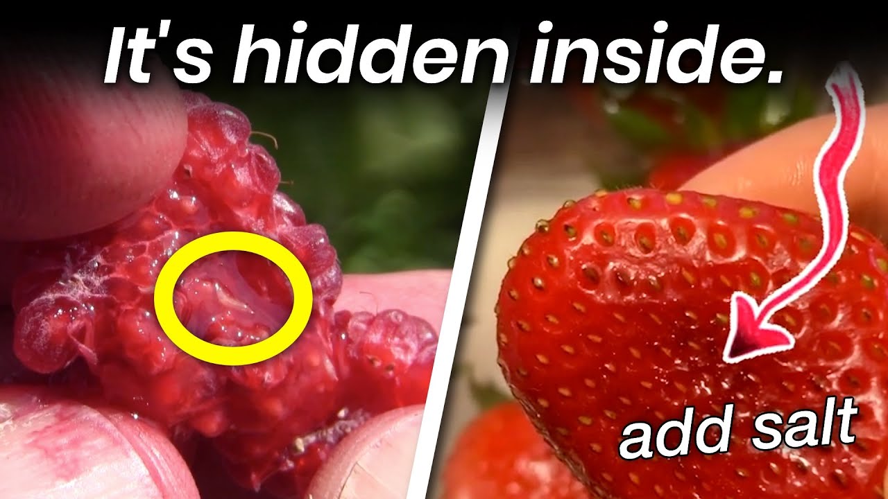 YouTube post by @Brew for Taste of Home. Caption reads: The Truth Behind the Hidden Worms in Your....