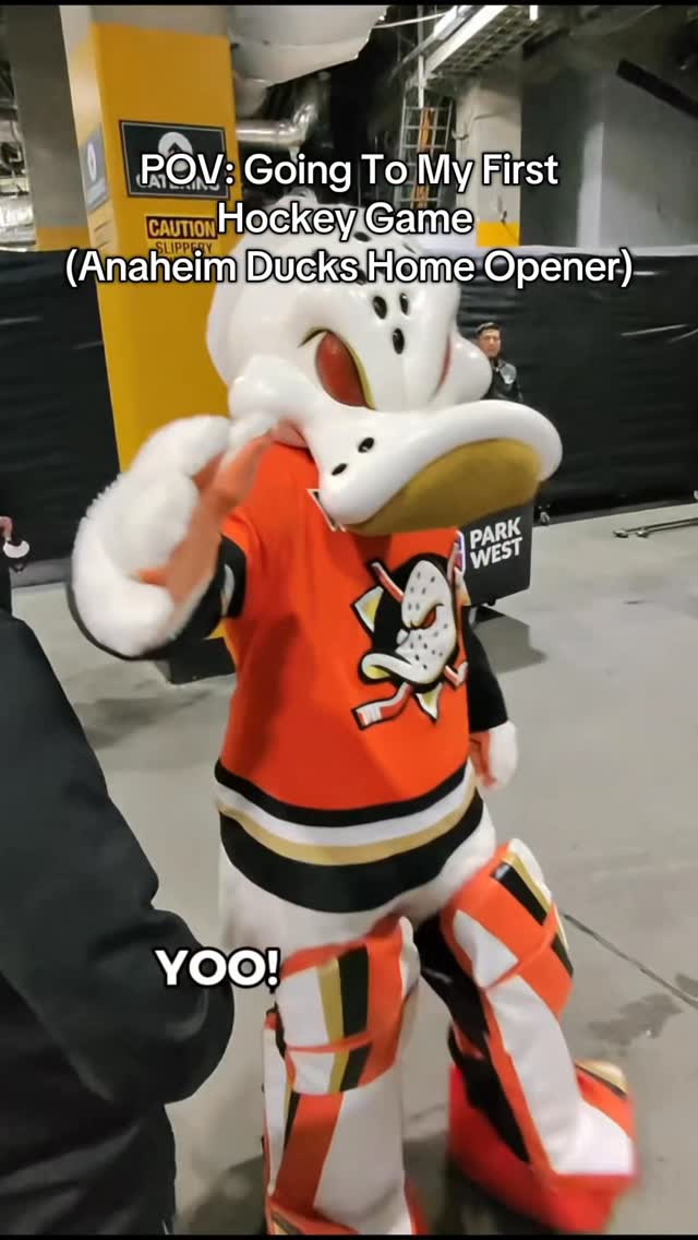 Instagram post by @mysolopov for Visit Anaheim. Caption reads: [...] the best experiences ever! Thanks to....