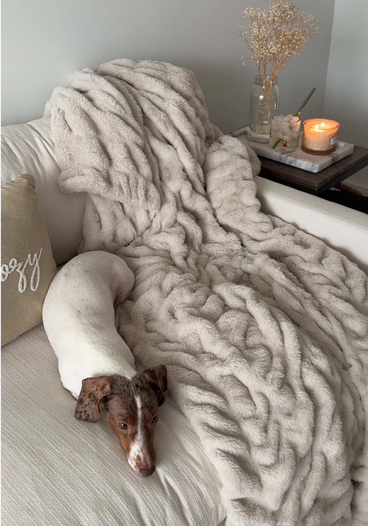 TikTok post by @darthhdaddy for FairyLoot. Caption reads: [...] a cutie and I don’t blame her 😭🥹✨ ....