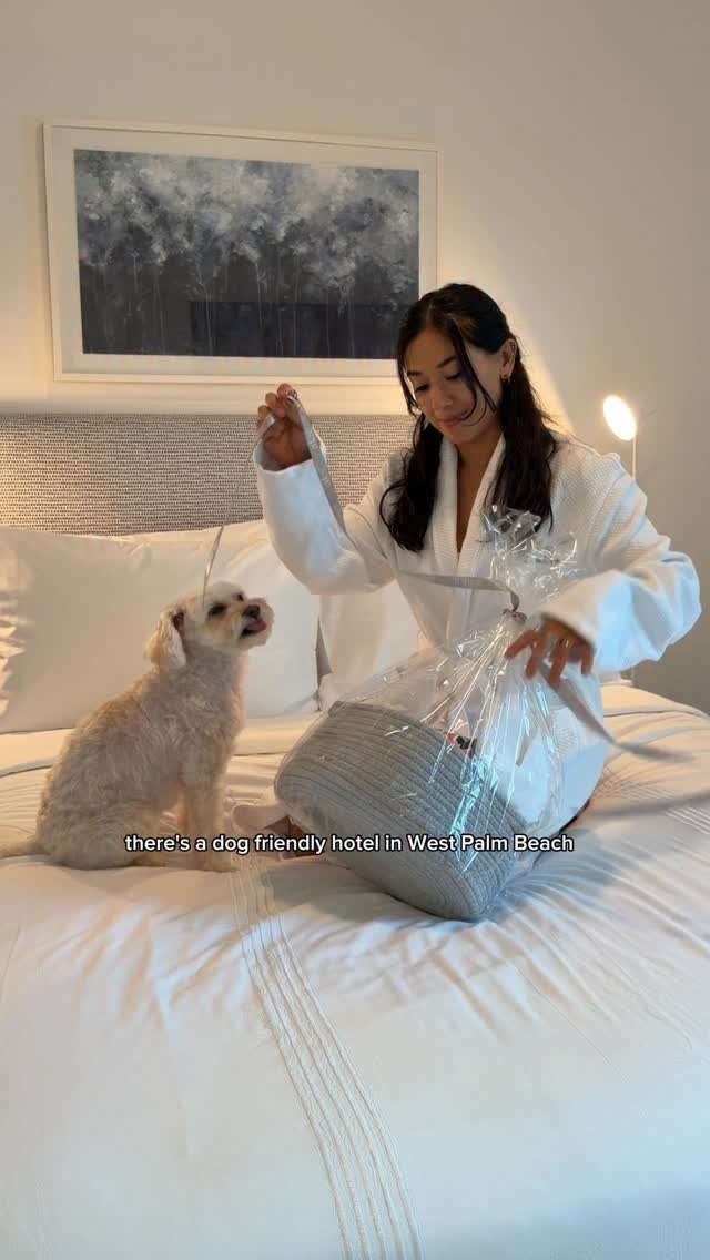 Instagram post by @explorewithgg for The Palm Beaches. Caption reads: Pet-friendly stay in @palmbeachesfl 🐶💼 📍....