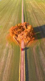 Instagram post by @sophiabergholm for EARTH OFFICIAL. Caption reads: The car was a paid actor 🚗😂

I know this place....