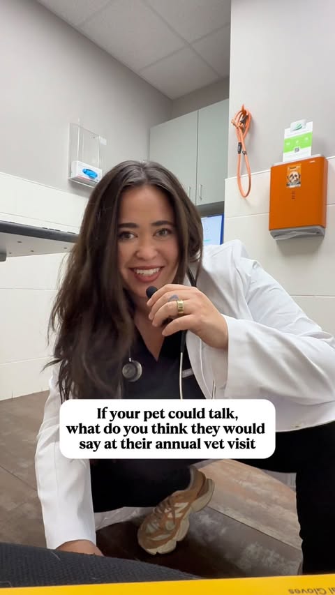 Instagram post by @dogtorkristi for Chewy. Caption reads: Comment “CHEWY” to learn more! If your pet could....