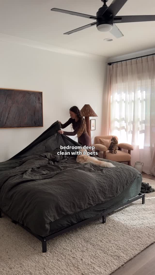 Instagram post by @dear.fig for Levoit. Caption reads: Raise your hand if your hobbies include cleaning....