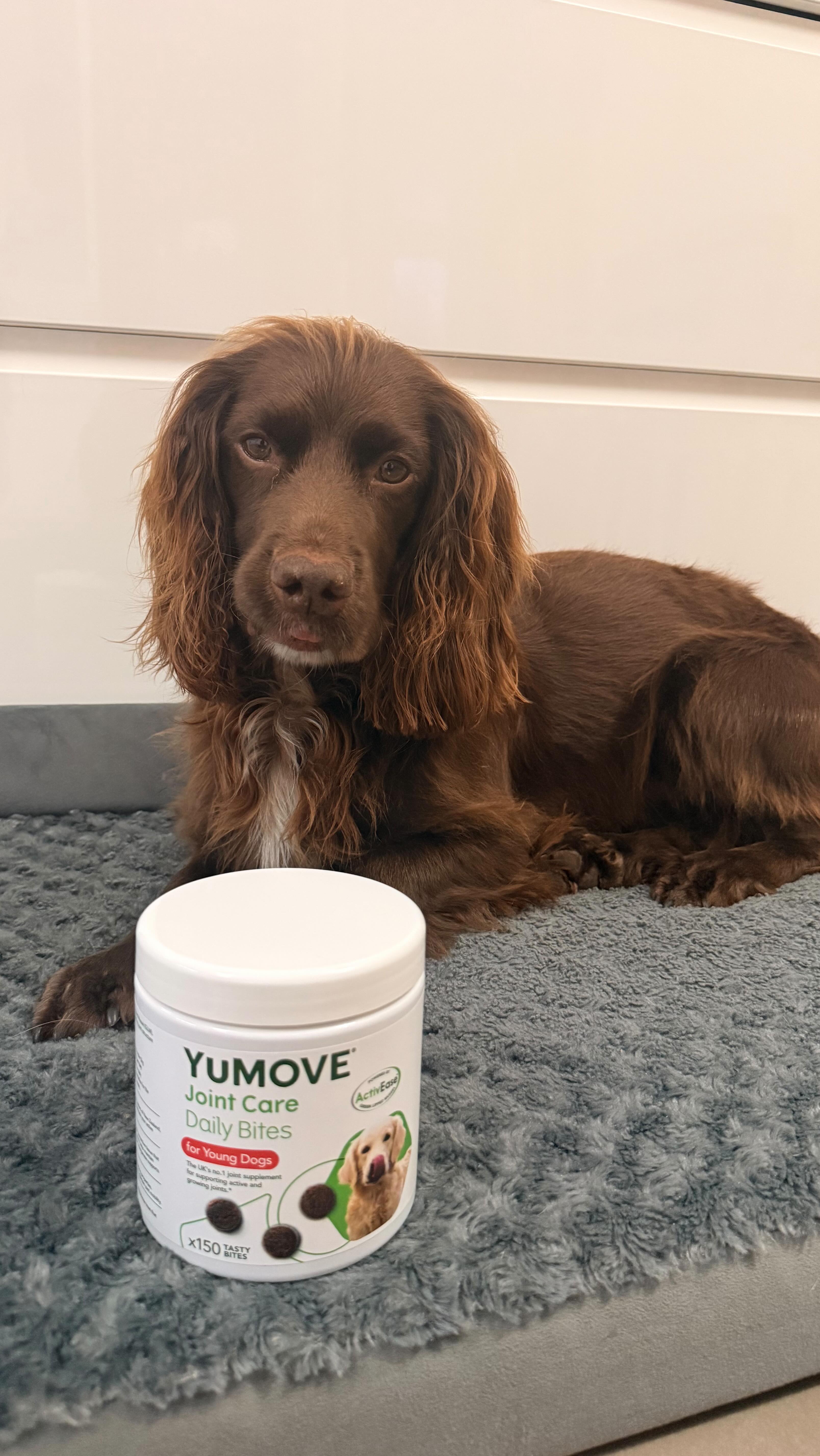 Instagram post by @herbie.werbie for YuMOVE. Caption reads: Happy Selfcare Sunday 🤩 Come join me for a week....