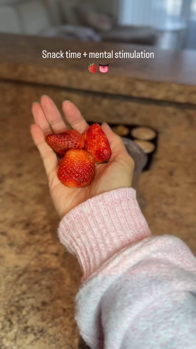 Instagram post by @itsme.tommy.to for Open Farm Pet. Caption reads: [...] single ingredient treats from @openfarmpet....