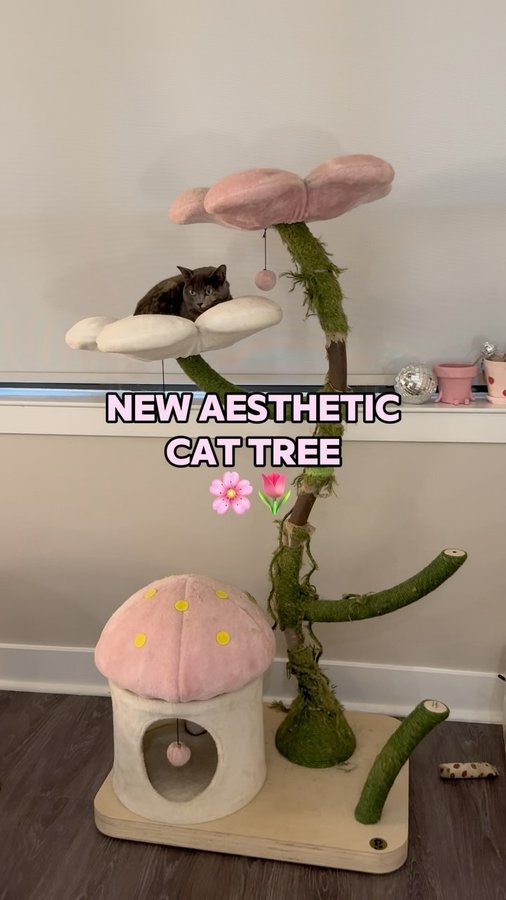 Instagram post by @peachandpumpky for KBSPETS. Caption reads: gifted tree from @kbspets !! 🌸🌷 discount code:....