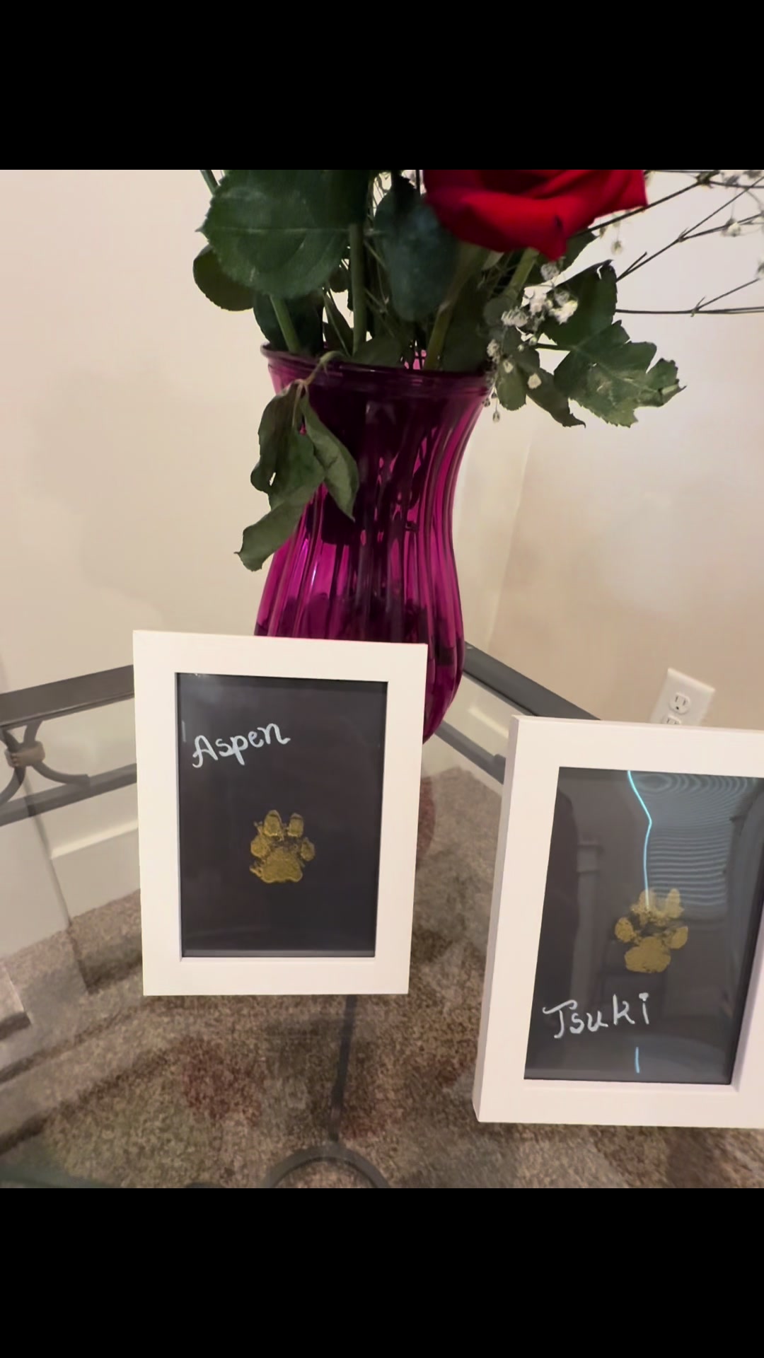 TikTok post by @tsukiandaspen for Larleaf. Caption reads: [...] aren’t “just pets.” They are family.....