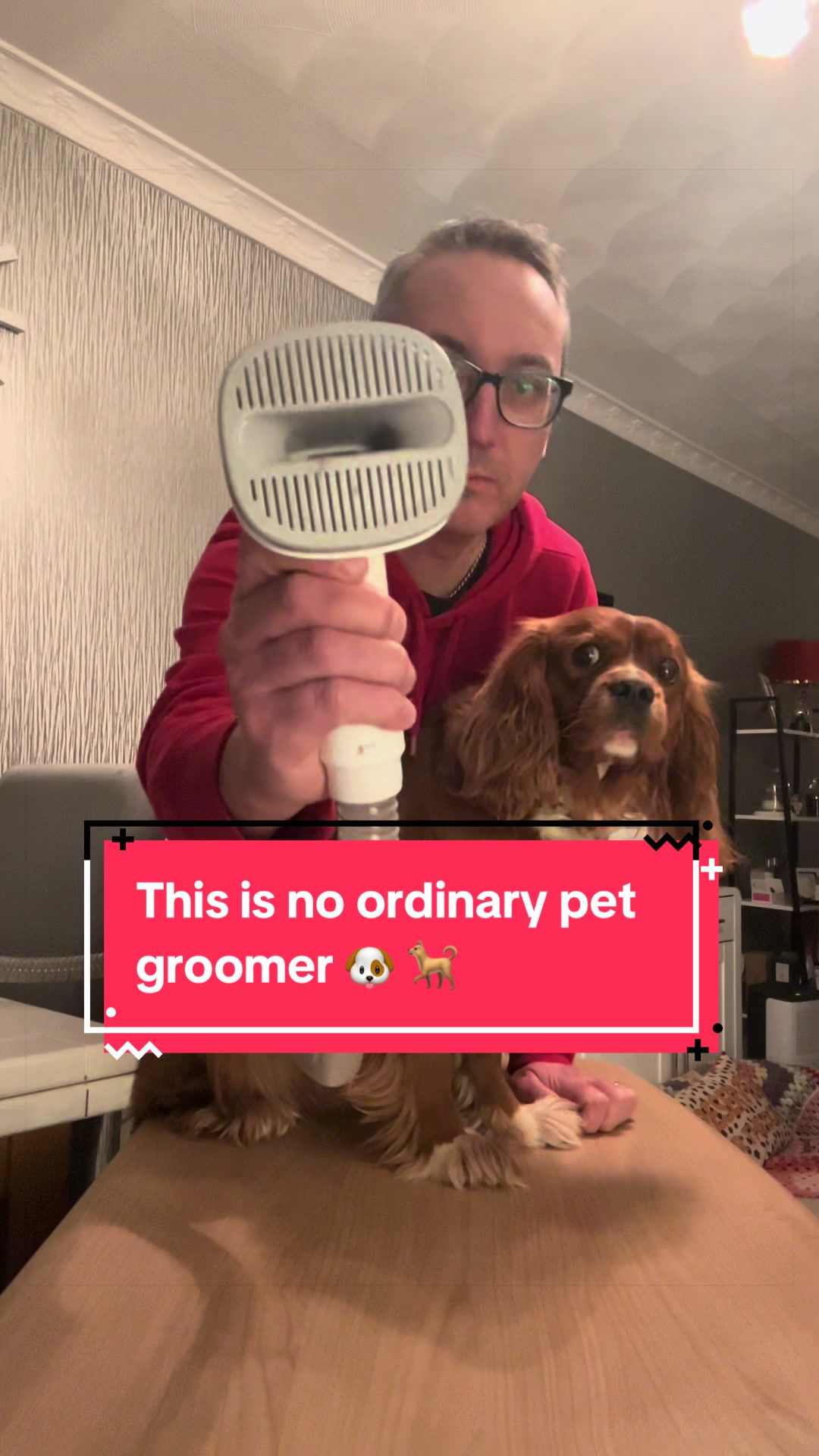 TikTok post by @thecandleboys for Geoorood. Caption reads: [...] #petgrooming #petgroomer #pet @GEOOROOD UK....