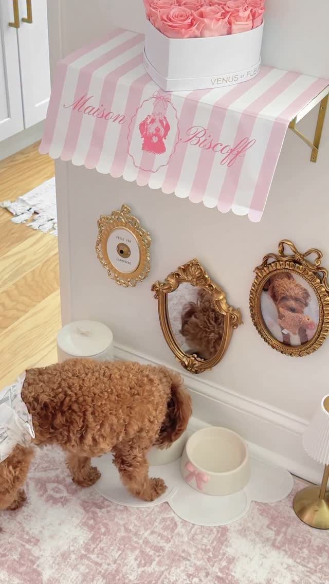 Instagram post by @phoeberreynolds for Venus et Fleur. Caption reads: Hi AD, I’m @lifewbiscoff and welcome to Maison....