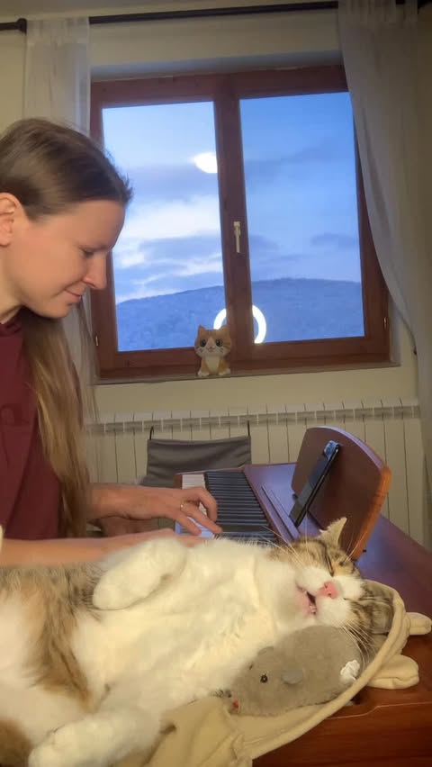 Instagram post by @pianists_mariana.dimcho for DonnerMusic. Caption reads: Christmas mood with Zlatko and Barbara!
M.....