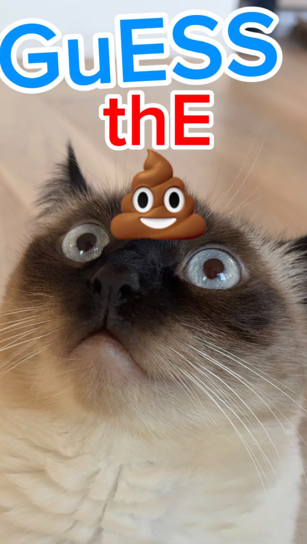 Instagram post by @mervthepet for Petlibro. Caption reads: GUESS THE 💩!!! @petlibro 's newly released LUMA....