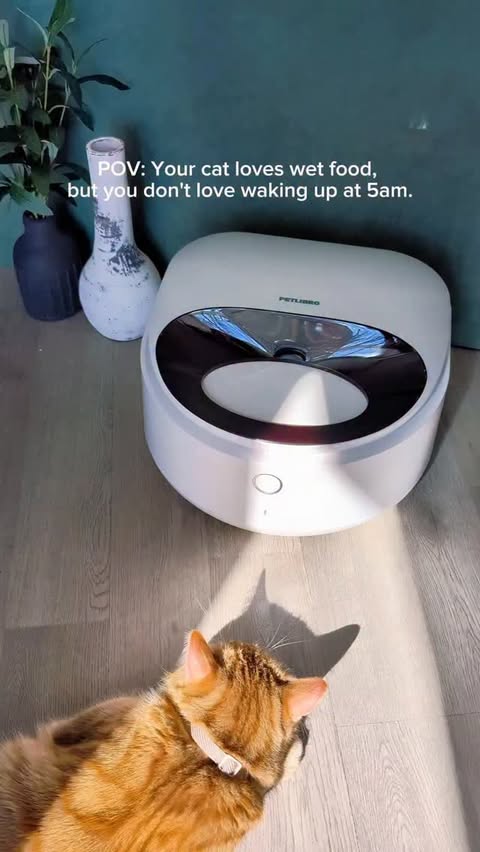 Instagram post by @itscookie.cat for PETLIBRO. Caption reads: [...] Comment Polar and I'll DM you the link.....