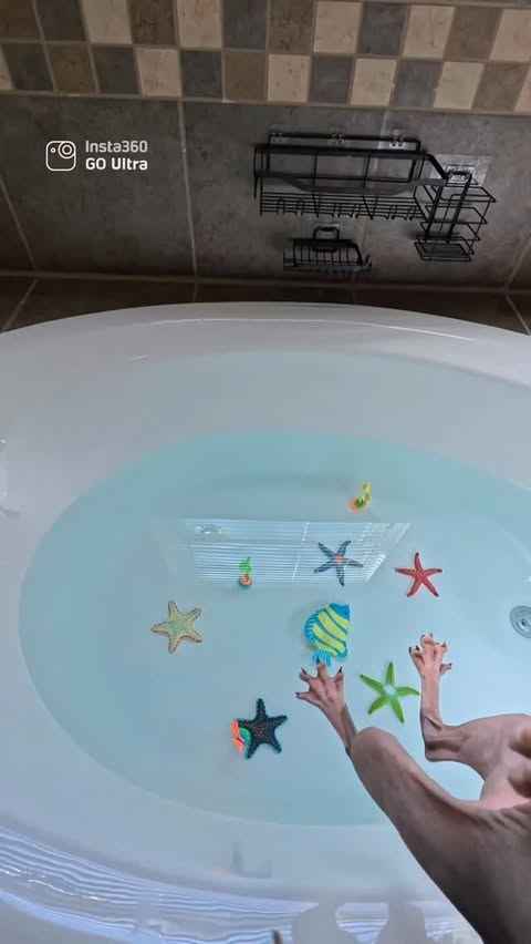 Instagram post by @noodybums for Insta360. Caption reads: [...] scuba diving certification 🐠 | AD

📸....