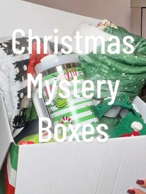 TikTok post by @shop.with.selena for Willow Boutique. Caption reads: [...] I am in love with the entire box! @Willow....