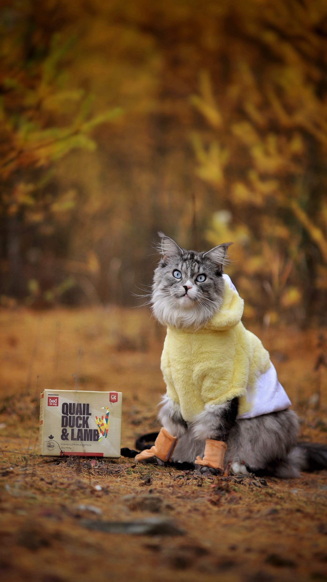 Instagram post by @petitepeet for BIG COUNTRY RAW. Caption reads: [...] easier with the Fare Game line from....