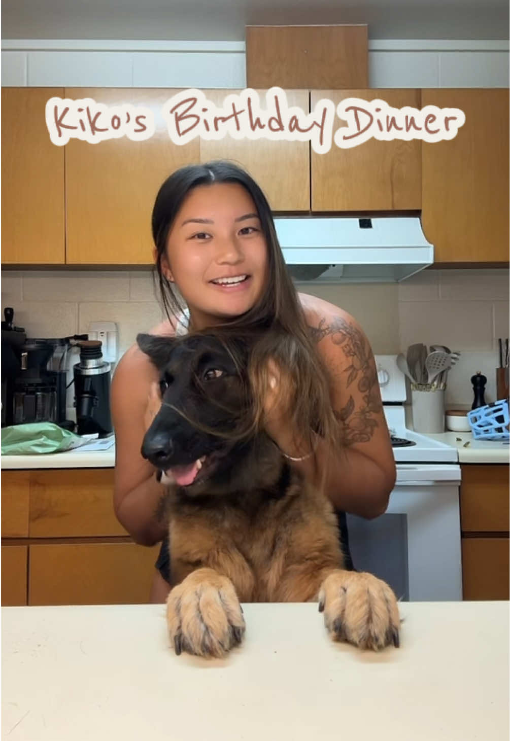 TikTok post by @kikothegsd for All American Canine. Caption reads: kiko’s birthday dinner!!! @Pet Honesty code....