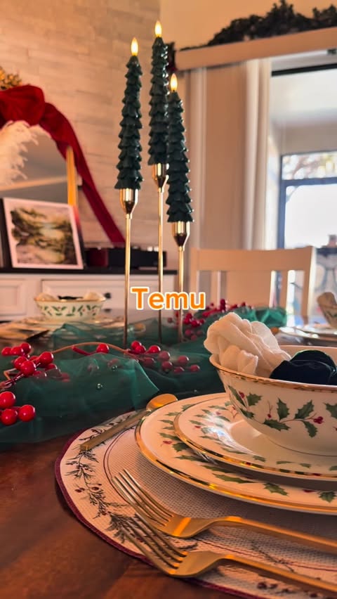 Instagram post by an influencer for Temu. Caption reads: [...] 🎄✨ Everything here is from Temu and came....