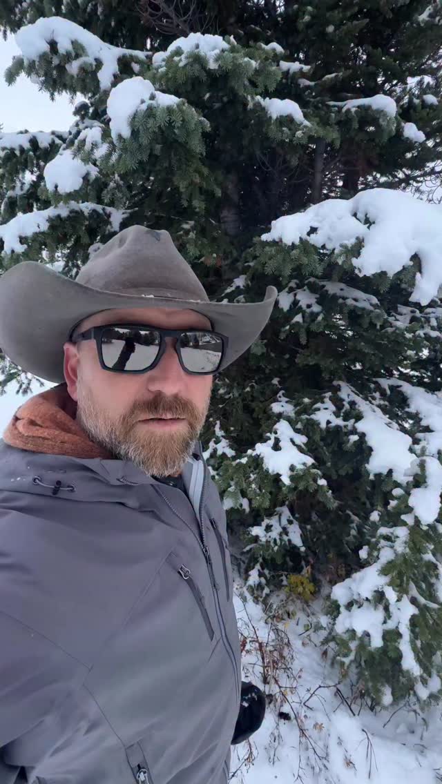 Instagram post by @trinity_vandenacre for Wiley X. Caption reads: Gifted by @wileyx. My new @wileyx glasses worked....