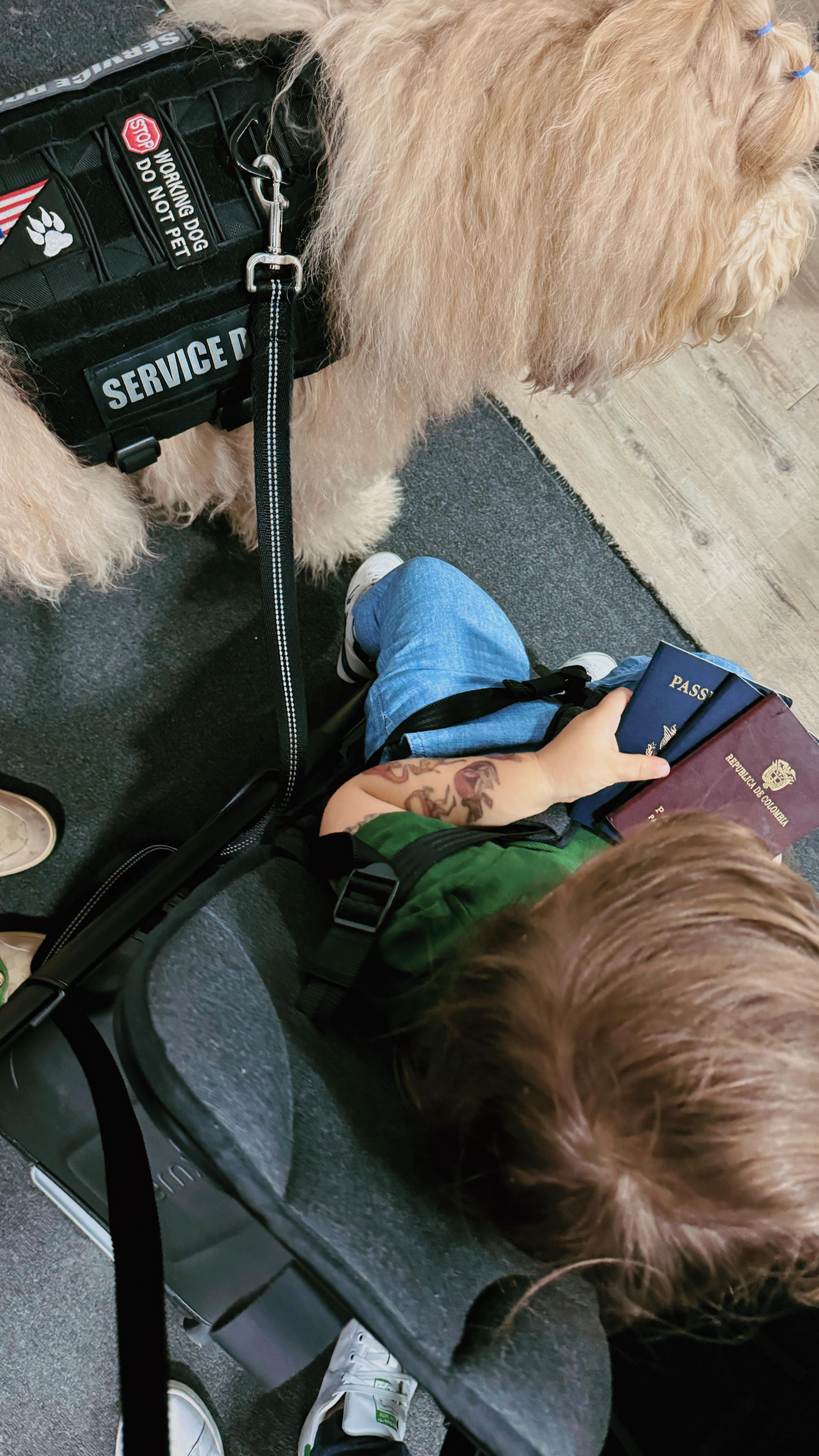 Instagram post by @pilarg.naples for TernX. Caption reads: GAME CHANGER!  @myternx 

Talk about convenient!!!....